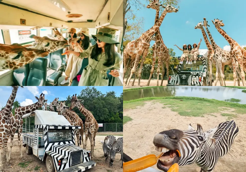 Kanchanaburi Wildlife Park